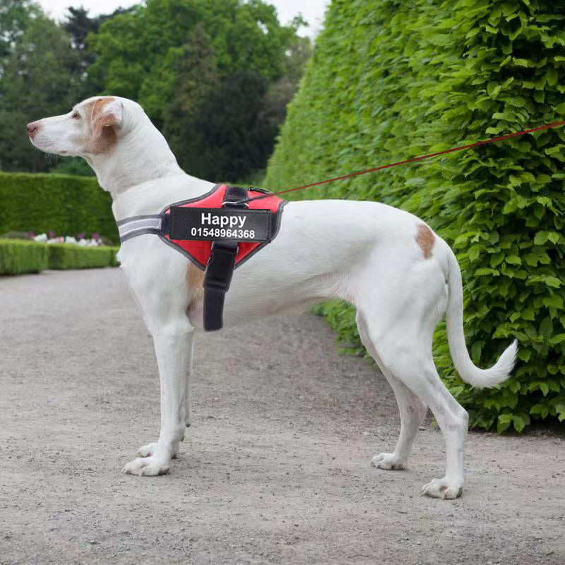 Reflective Dog Harness| Bolux Dog Harness| Hi vis Dog Vest| Best Reflective Dog Leash