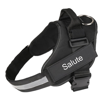 Reflective Dog Harness| Bolux Dog Harness| Hi vis Dog Vest| Best Reflective Dog Leash